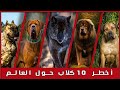 الـ 10 كلاب الاخطر حول العالم _ Train your dog Egypt