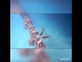 A city lost in the Red Sea!The V Luxury Resort Sahl....