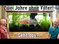 Zwei Jahre filterloses Aquarium: Neues Leben im historischen 1890er-Setup!