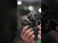 Daiwa Fream 2026