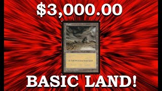 Most Expensive Basic Land Ever Sold! Unreal MTG Profile