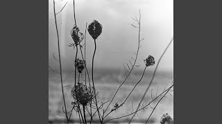 Vignette de la vidéo "Recondite - Placid"