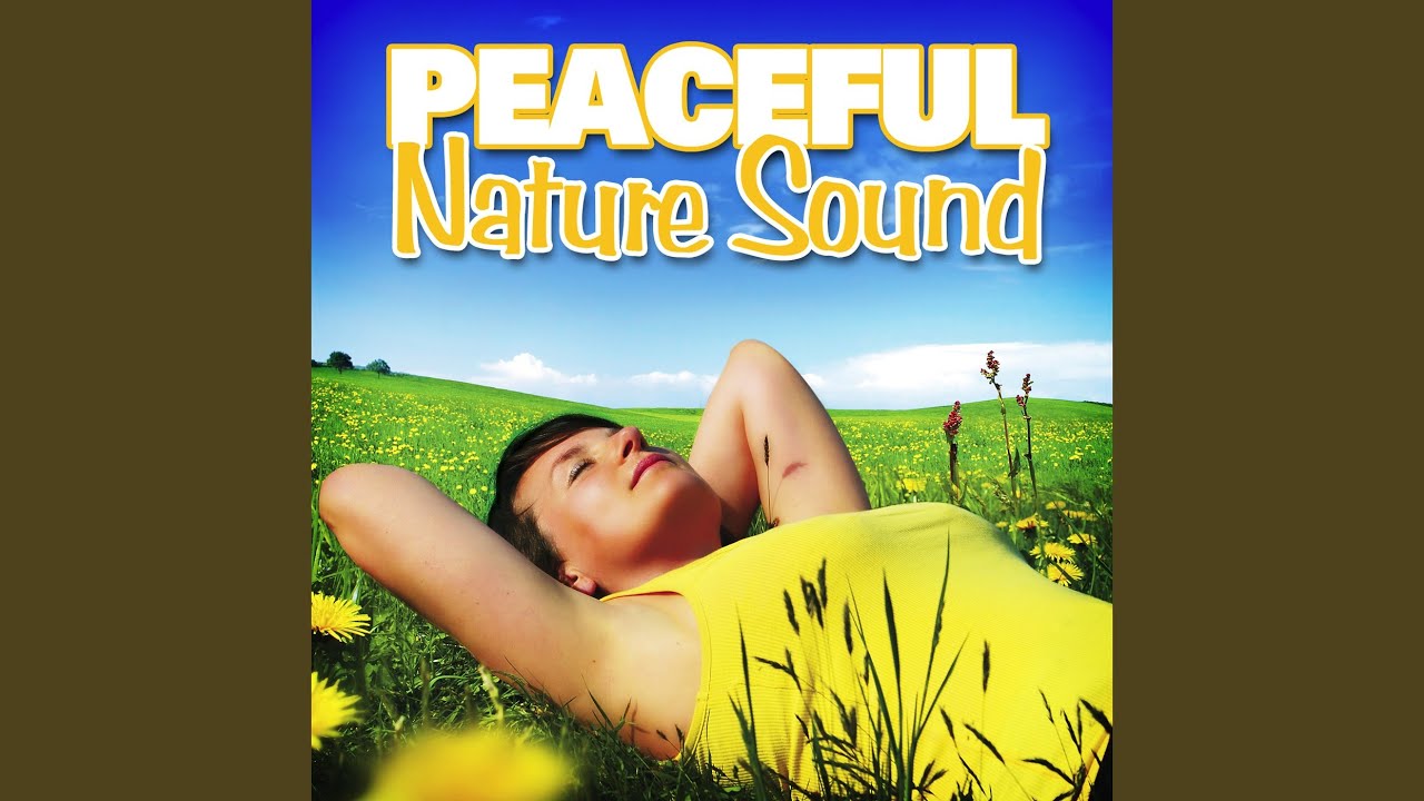 Gentle Wind Chimes for Yoga Meditation Gentle Wind Chimes for Yoga Meditation