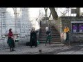 Street  musicians in Old City, Tallinn