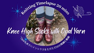 Episode 4: Knitting Timelapse | Knee High Socks with Opal Yarn Opal毛糸でハイソックスをただただ編む動画