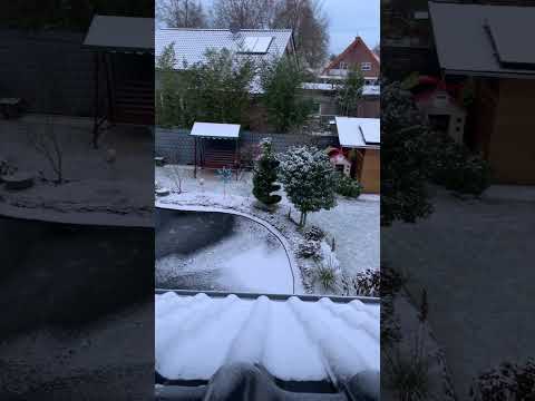 Зима в Германии/Пруд возле дома/Всё своими руками/На дворе Зима