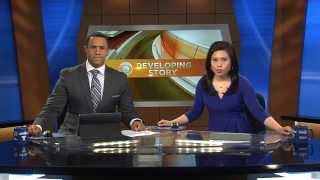 JOSH LANDON ANCHOR Net Worth