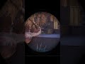 Like Shooting Fish In A Barrel! - Ark: Survival Ascended