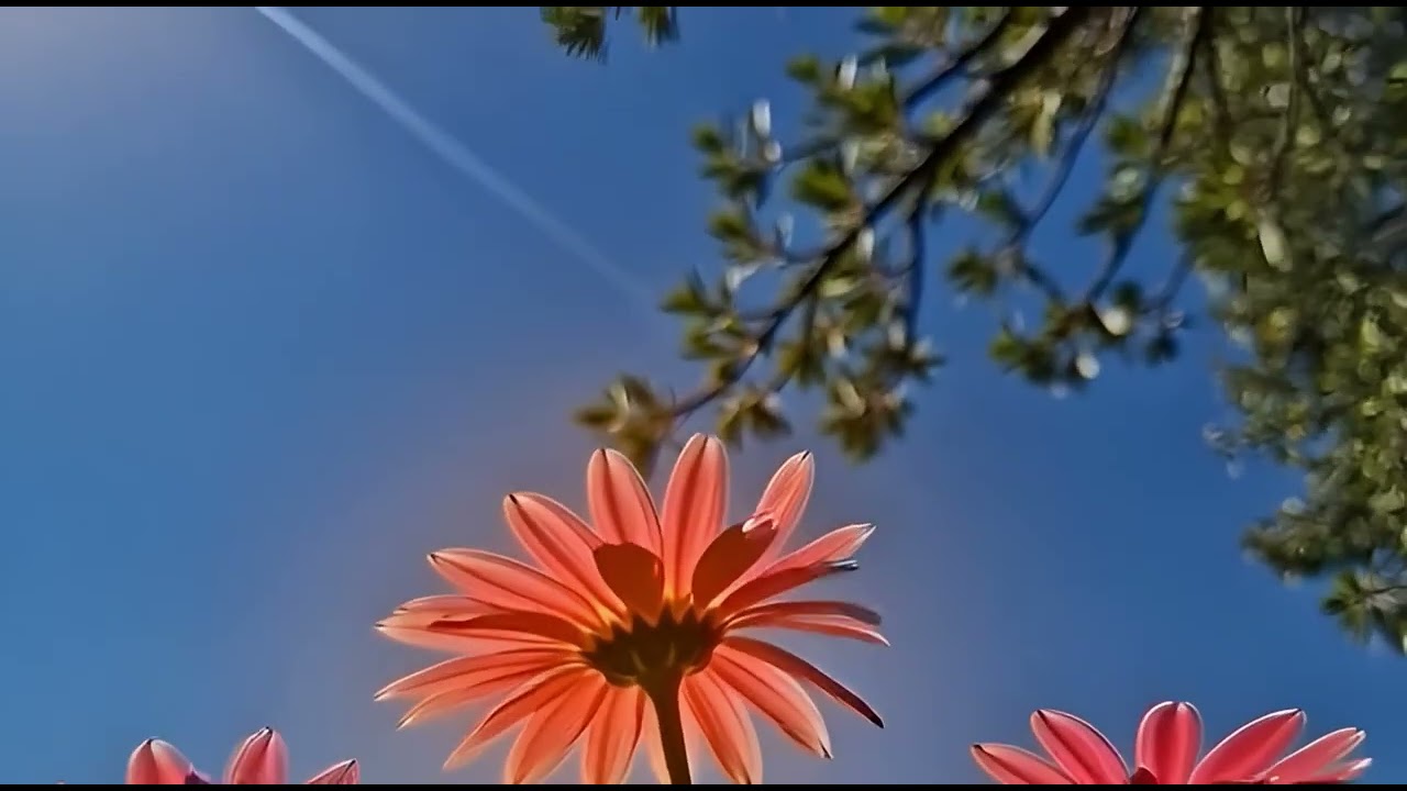 Reaching for Quiet Light