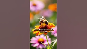 “10 Incredible Honeybee Facts You Didn’t Know 🐝 | Amazing Bee Secrets Revealed!”