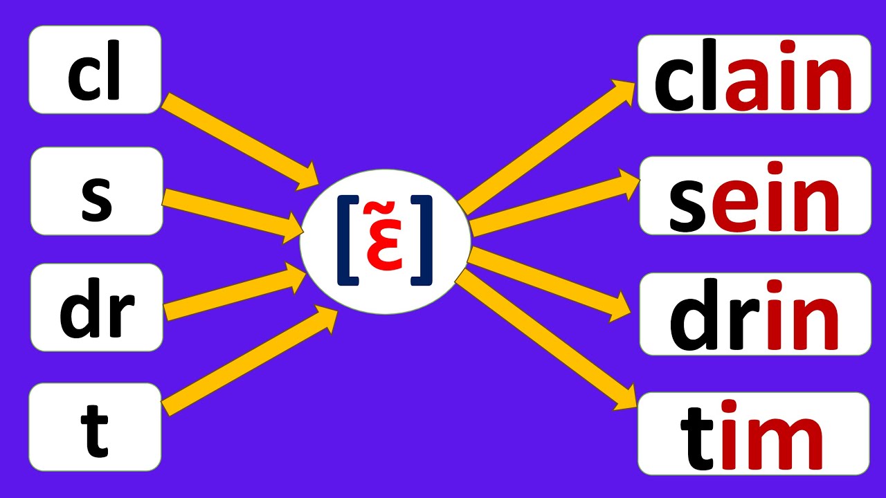 Lecture 4 : le son [ɛ̃] : ain, ein, in et im