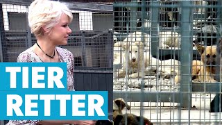 Unterwegs mit der Tierrettung: Tatjana Gessler hilft Tieren in Not