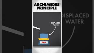 Archimedes principle viral reel animation