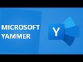 What are Internal Groups in Microsoft Yammer?