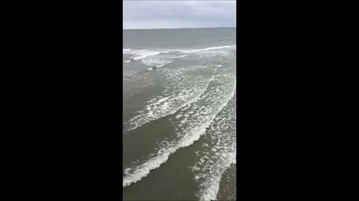 Copy of Myrtle Beach NC on Cherry Grove Pier