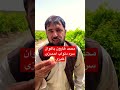 Mohammad Haroon Baghwan And Tawab Ahmadzai Mohammad Haroon Baghwan And Tawab Ahmadzai