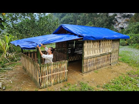 EP186 | Rancangan Pendidikan Malaysia 2026-2035, Kes Rasuah ATM, Visit Malaysia 26, Trump-Greenland