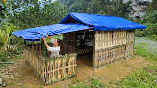 Download Lagu 99 Day of Building a New House in the Wild – Starting a new life from zero! MP3