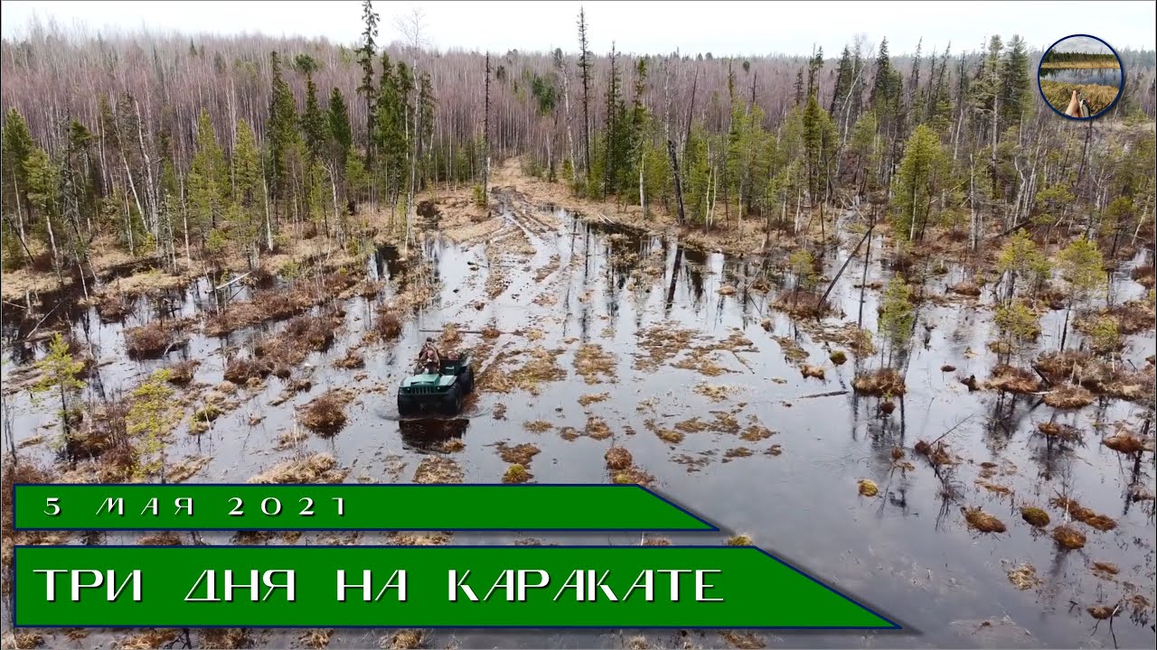 Камазы по болоту