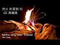 焚火 4K 直火 ファイアピット 針葉樹 杉 道志 Bonfire using Cedar firewood  2020/09/08