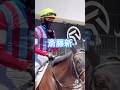 パピヨンヴェール号に騎乗の斎藤新騎手🏇  京都競馬場 パドック🐴