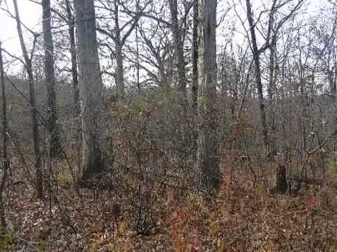 28 Black Partridge Run, Sparland, IL home video tour