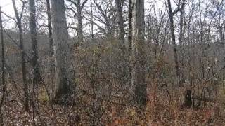 28 Black Partridge Run video tour