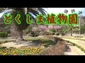 とくしま植物園　行ってみた！ の動画、YouTube動画。