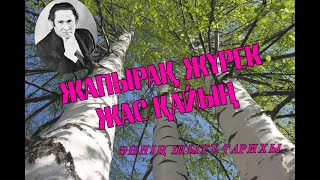 картинка: 