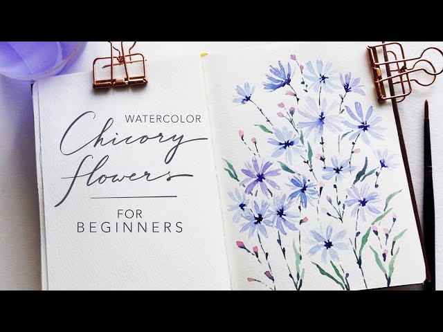 EASY Watercolor Flowers for Beginners: Chicory Flowers