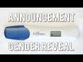 Pregnancy announcement  gender reveal