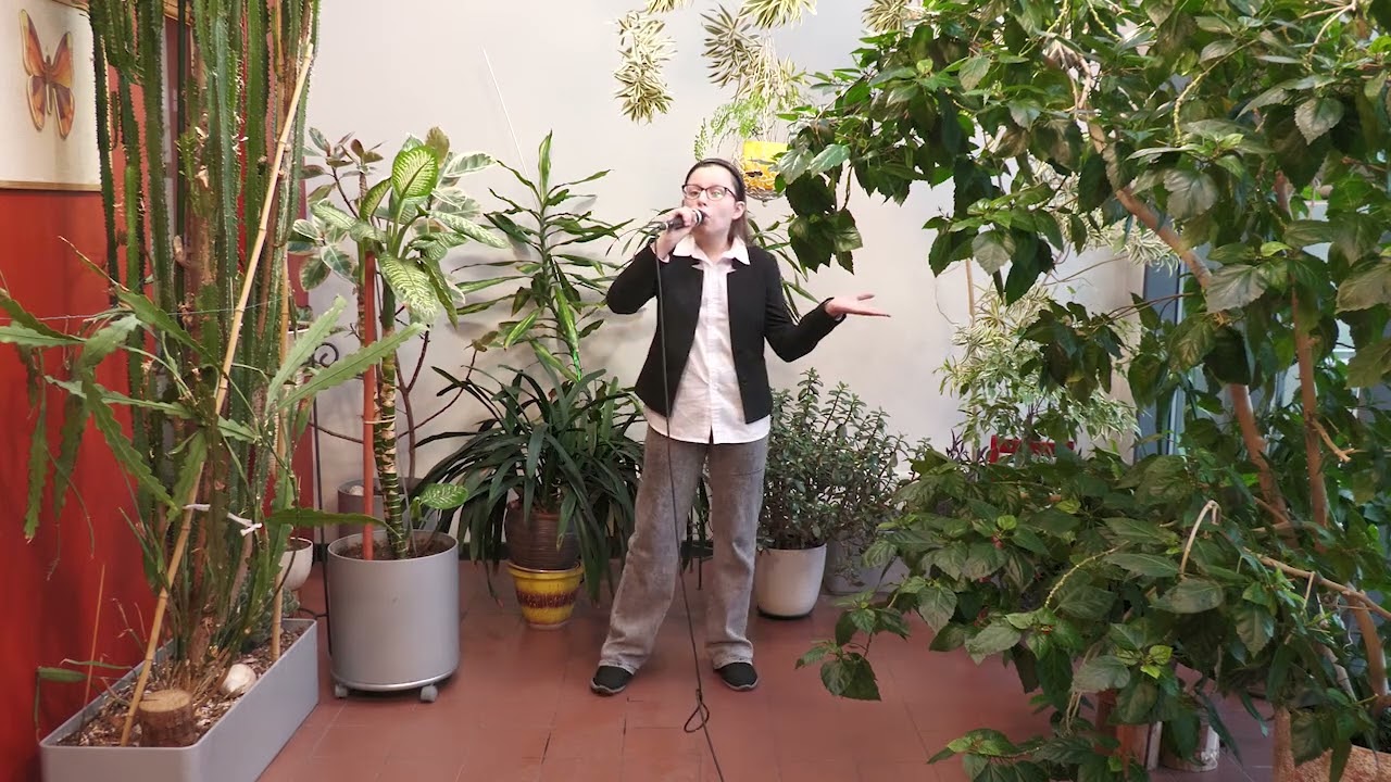 Laura Zelča - Vēja krāsa