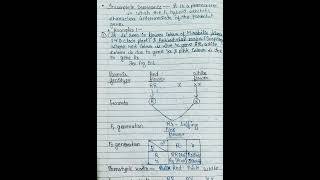 ch 5 principle of inheritance and variation (handwritten notes biology ncert class 12)