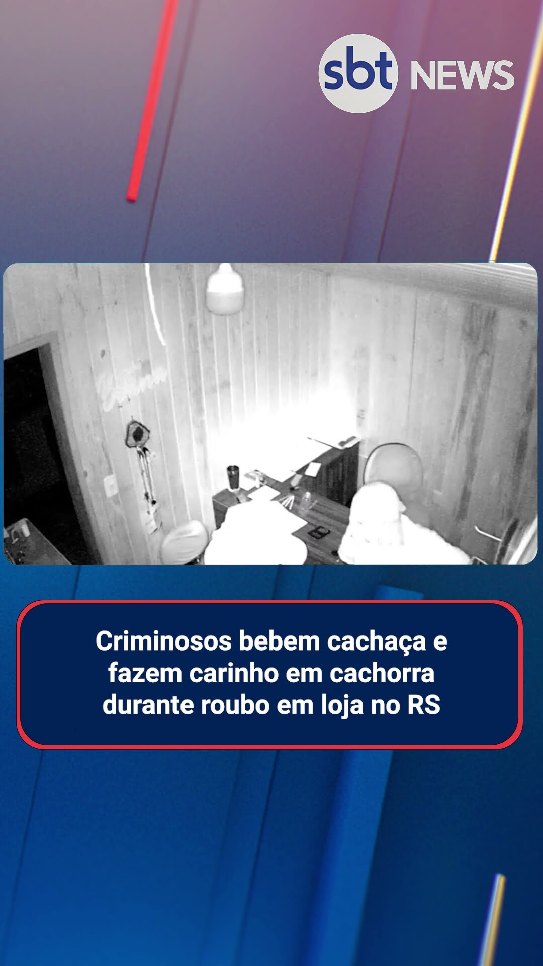 Criminosos bebem cachaça e fazem carinho em cachorra durante roubo no RS
