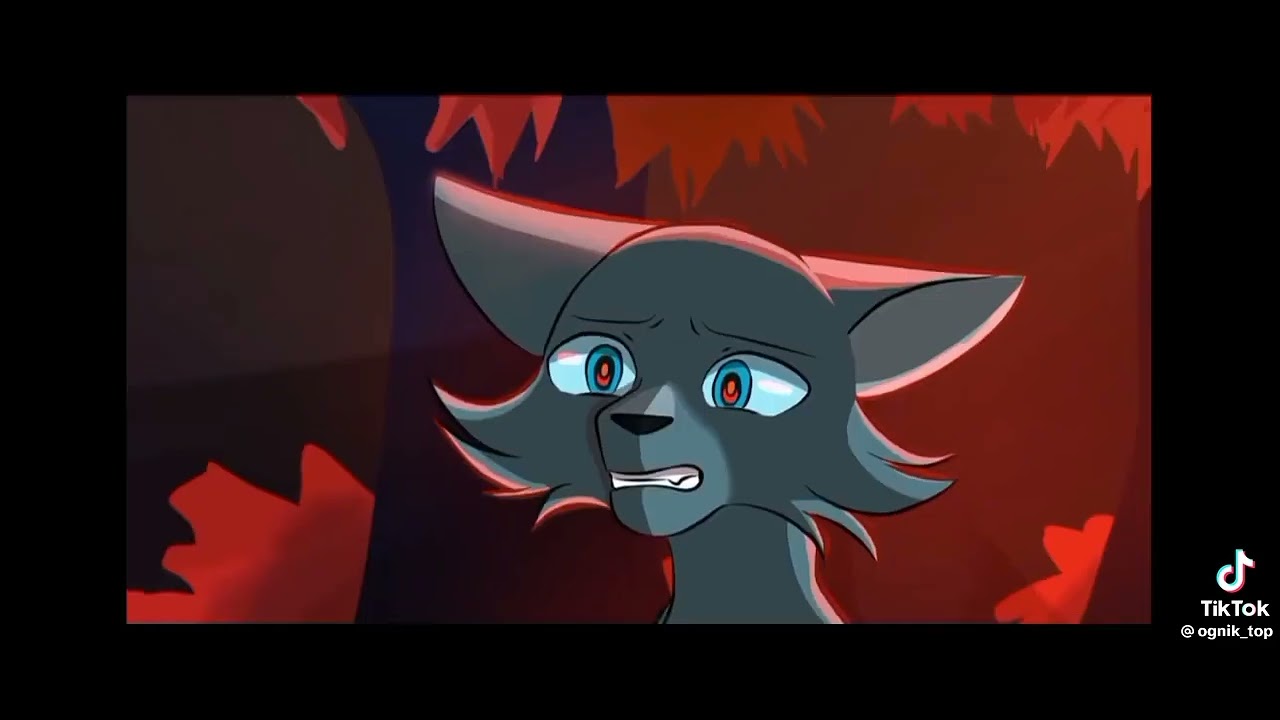 коты воители синяя звезда смерть. коты воители страшный сон. коты воители страшный сон синей звезду про мошку. коты воители смерть звездоцапа. коты воители страшный сон.