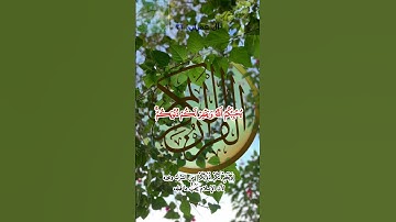 سورة آل عمران ٣١ يتلوها القارئ الشيخ محمد صديق المنشاوي رحمه الله