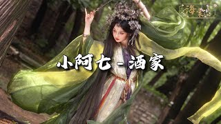小阿七 - 酒家『待她笑颜如花，笔墨山河入画，金戈铁马且不敌你灼灼风华。』【动态歌词MV】