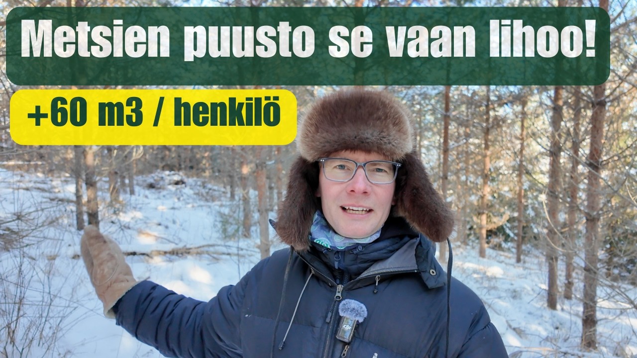 Näin paljon Suomen metsät ovat kasvaneet!