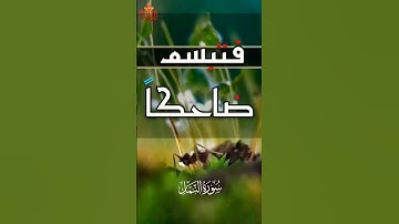 فتبسم ضاحكاً من قولها // صوت جميل #سورة_النمل #ريحانة_قرآن #قرآن #تلاوات_خاشعة #القرآن_الكريم