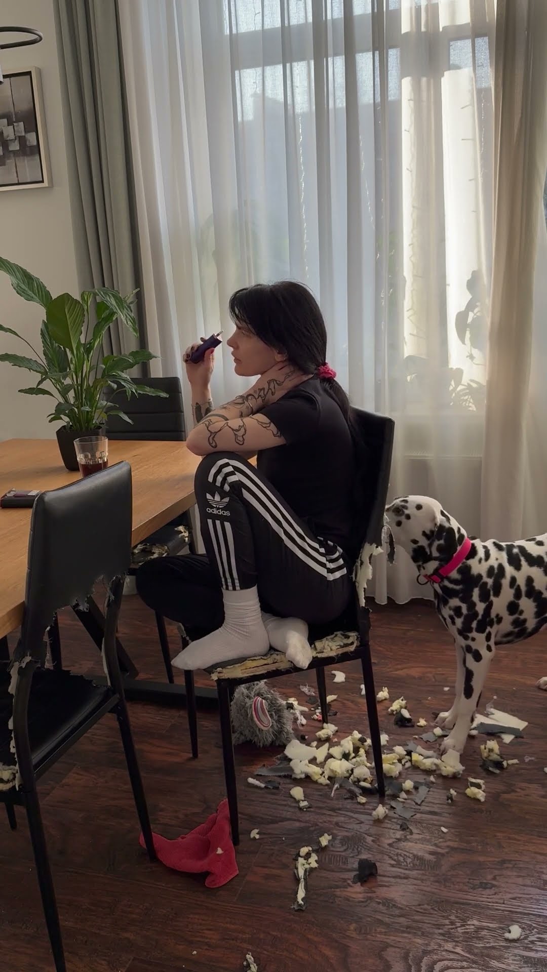 Woman Unbothered by Dog Biting Chair || ViralHog