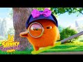 SUNNY BUNNIES - Find the Ribbon 🎀  | Season 6 | Cartoons for Children