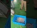 MNS-502 French Fries Cutting Machine (WhatsApp: +86-13733892205)