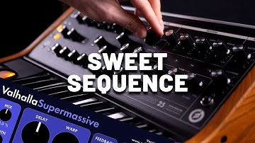 Sweet Sequence with Moog Subsequent 25 [Synthesizer Demo] (No Talking)