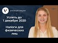 Успеть до 1 декабря 2020 года! Какие налоги должны заплатить физлица