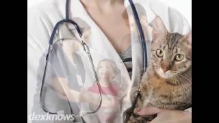 Bayshore Animal Hospital PLLC Jacksonville NC 28540-5310