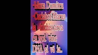 Dosar penal la DNA DIICOT Parchetul General la Caransebeș infractori Mură Dumitru Caraibot Marius