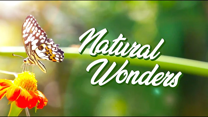 Made with Pond5: Natural Wonders