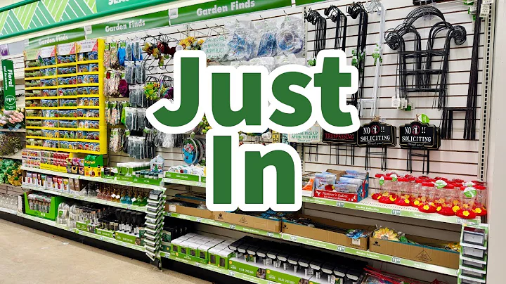 Dollar Tree 2025 | NEW Finds This Week 😮😮😮