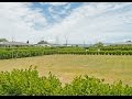 Lifestyle Packages For Sale | Pinot Grove, Martinborough , South Wairarapa | Alice Stewart Lifestyle Packages For Sale | Pinot Grove, Martinborough , South Wairarapa | Alice Stewart