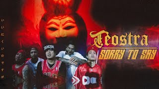 Sorry To Say Official Video - Teostra